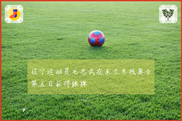 辽宁运动员毛忠武在米兰冬残奥会第五日获得银牌